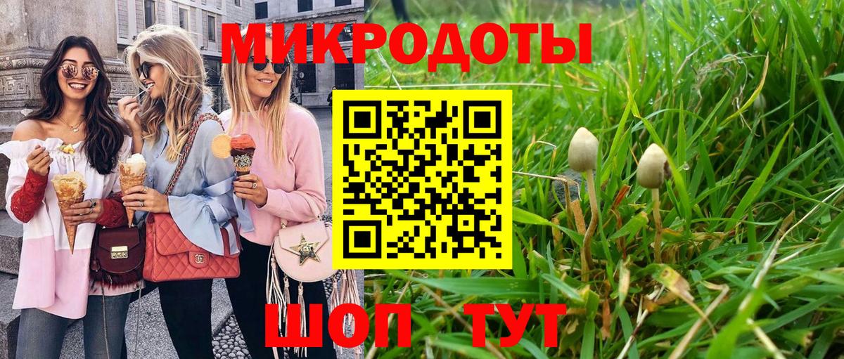 Истра  Псилоцибиновые грибы прущие грибы  Вход с VPN 