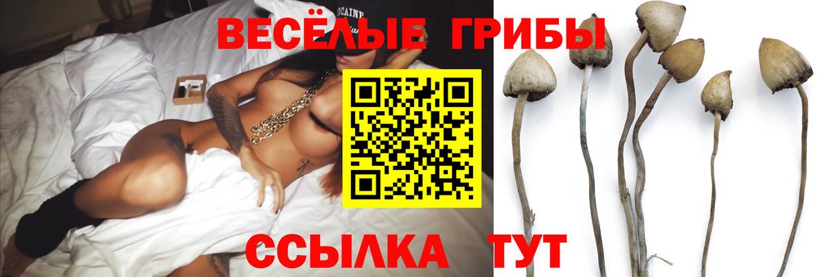Галлюциногенные грибы Magic Shrooms Истра